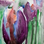 Tulpen Tulpen