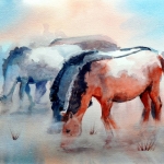 Paarden in de mist Paarden in de mist