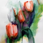 Tulpen 2 Tulpen 2