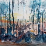 Winterbomen Winterbomen