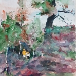 Struinen op de Veluwe Struinen op de Veluwe