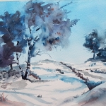 Veluwe Veluwe