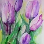 Tulpen Tulpen
