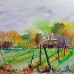 Groene hart Groene hart
