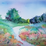 landschap landschap