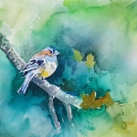 Vink Vink