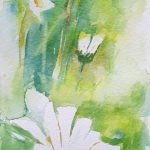 Margriet Margriet
