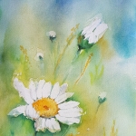 Margriet Margriet