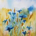 Korenbloemen Korenbloemen