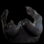 Torso 012 Torso 012