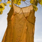 Autumn dress