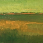 Groene polder 