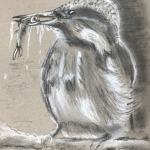 IJsvogel met vis IJsvogel met vis