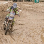 cross cross