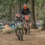 cross cross