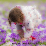 lente lente