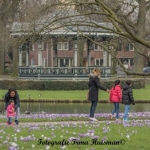 lente lente