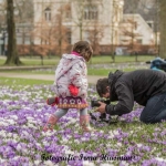 lente lente
