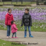lente lente