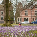 lente lente