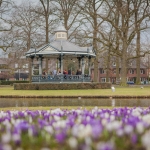 lente lente