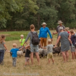 schapen schapen