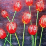 Tulpen Tulpen