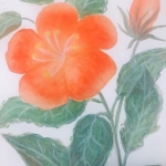 Aquarel 25 Aquarel 25