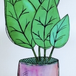 Plant Plant