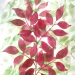 Aquarel 37 Aquarel 37