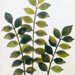 Aquarel 61 Aquarel 61