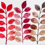 Aquarel 67 Aquarel 67