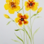 Aquarel 69 Aquarel 69
