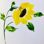 Aquarel 70 Aquarel 70
