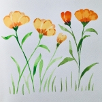 Aquarel 71 Aquarel 71