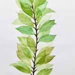 Aquarel 72 Aquarel 72