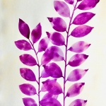 Aquarel 80 Aquarel 80