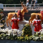 Varend Corso Westland 2015 Varend Corso Westland 2015