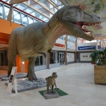 Dino's in de Hovenpassage Delft Dino's in de Hovenpassage Delft