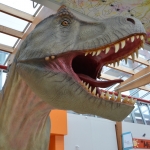 Dino's in de Hovenpassage Delft Dino's in de Hovenpassage Delft
