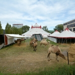 Circus Louis Knie Circus Louis Knie