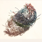 Nest Nest