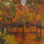 Herfstkleuren Herfstkleuren