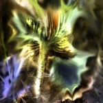 Nutural growing form Nutural growing form