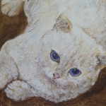 Jonge witte kat Jonge witte kat