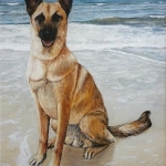 Herdershond op het strand Herdershond op het strand