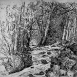 Grafiek ets bosbeek Ardennen Grafiek ets bosbeek Ardennen