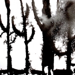 Trees Trees