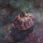 Pomegranite Pomegranite