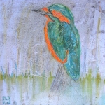 Kingfisher Kingfisher